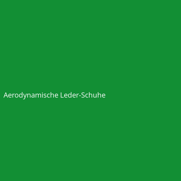 Aerodynamische Leder-Schuhe