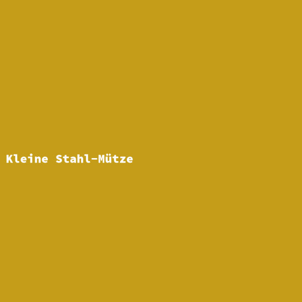 Kleine Stahl-Mütze